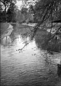 072 Dorothy Vassar-Smith Album c1920 © CKLHS